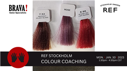 1/30/23 REF Stockholm Colour Coaching