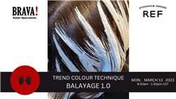 03/13/23 Trend Colour Technique Balayage 1.0
