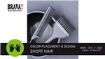 10/02/23 PM Color Placement & Design - Short Hair