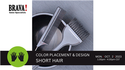 10/02/23 PM Color Placement & Design - Short Hair