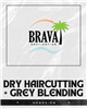 Dry Haircutting and Grey Blending