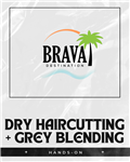 Dry Haircutting and Grey Blending
