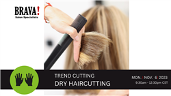 11/06/23 Dry Haircutting