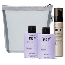REF Perfect Travel Kit  - Cool Silver