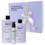 REF Cool Silver Holiday Gift Set