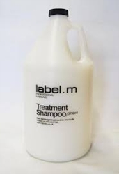 Label M Treatment Shampoo 3750ml
