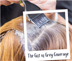 The Gift of Grey Coverage 5/20/24