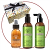 Nook Curly Gift Box
